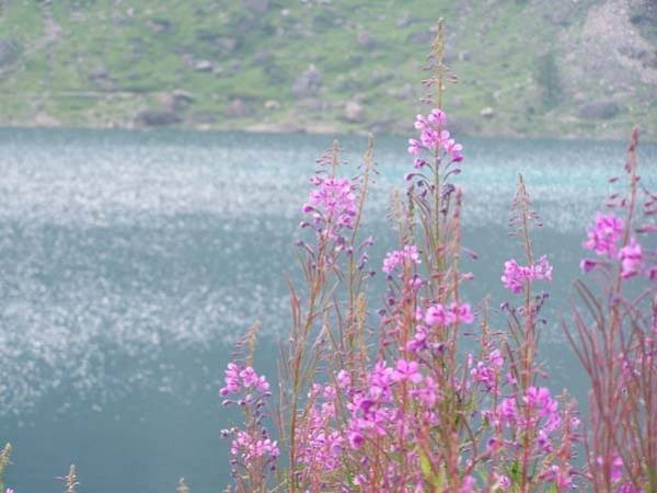 Macugnaga e dintorni