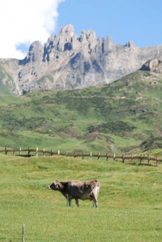 Alpe di Siusi – Bolzano – Alto Adige