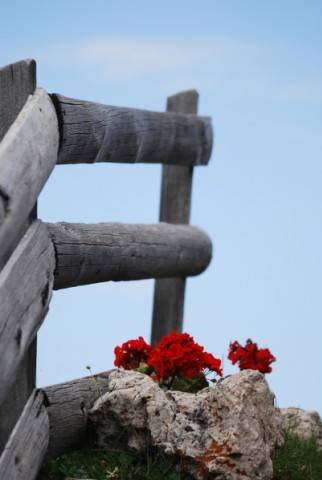 Alpe di Siusi – Bolzano – Alto Adige