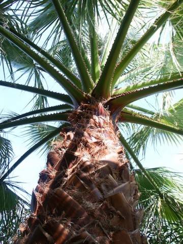 Sardegna