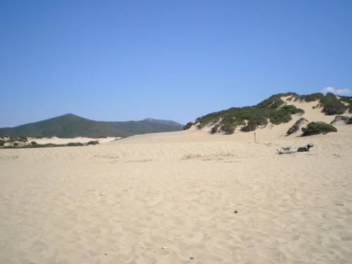 Sardegna