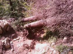 sentiero cascate cittiglio sottobosco tronchi abbattuti vigili del fuoco volontari laveno