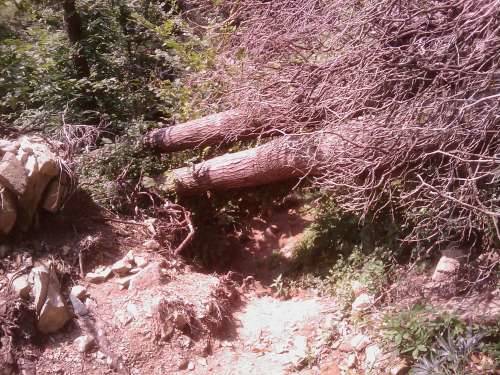 sentiero cascate cittiglio sottobosco tronchi abbattuti vigili del fuoco volontari laveno