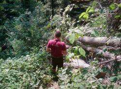 sentiero cascate cittiglio sottobosco tronchi abbattuti vigili del fuoco volontari laveno