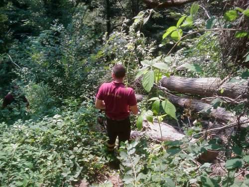 sentiero cascate cittiglio sottobosco tronchi abbattuti vigili del fuoco volontari laveno