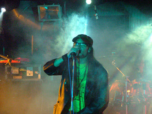 tribut band, concerto, musica