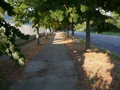 ciclabili Busto Arsizio