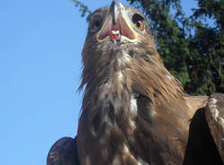 concorso bambini fiera 2009