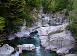 concorso fiera bambini 2