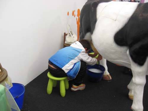 expo kids laboratori fiera varese 2009