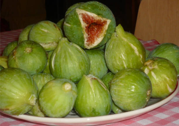 Fichi di Calabria