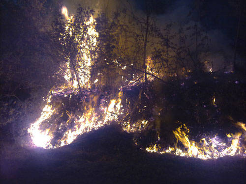 incendio liguria