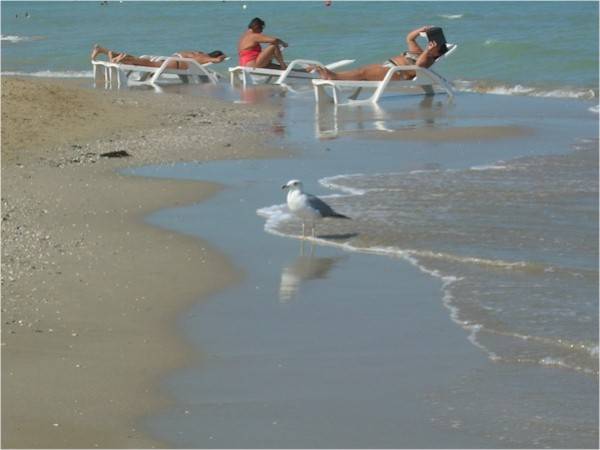 Mare croato e ligure