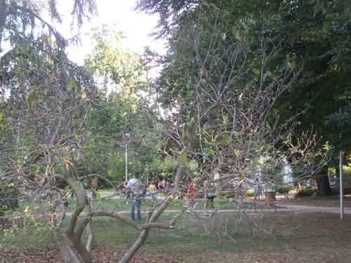 parco via ugo foscolo busto arsizio 1-9-2009