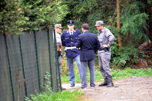 albero morto gallarate