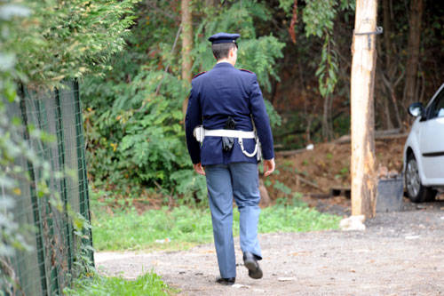 albero morto gallarate