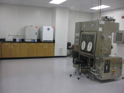 biocell boston