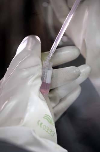 biocell center macchinari attrezzattura 