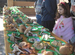 festa fungo venegono superiore