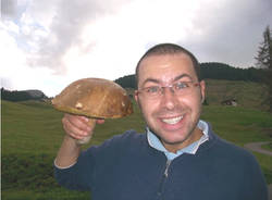 funghi 