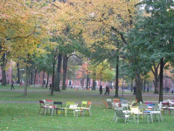 Harvard