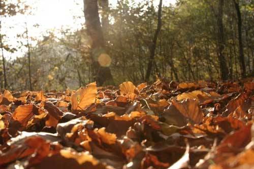 autunno lettori