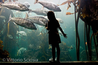 bambini del mondo fotografie associazione neos 