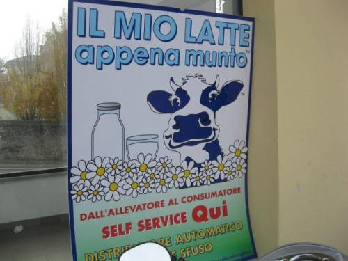 distributore automatico latte crudo