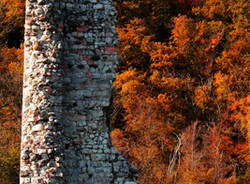 Foglie autunno