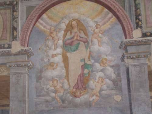 monastero cairate affresco aurelio luini arte