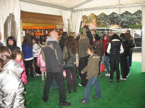 saronno servizi palaghiaccio 2010