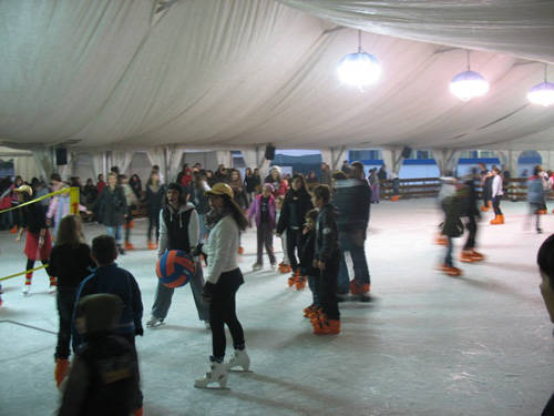 saronno servizi palaghiaccio 2010