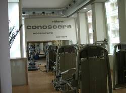 Swim Planet, la palestra