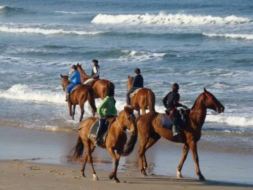 uruguay cavallo