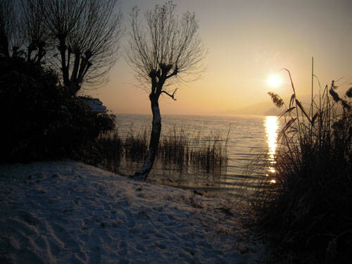 foto lettori neve dicembre 2009 ennesima tranche