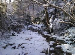 foto nevicata dicembre 2009