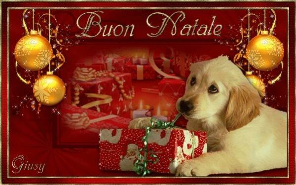 Natale