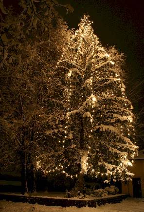 natale concorso lettori due