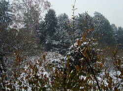 neve angera dicembre 2009