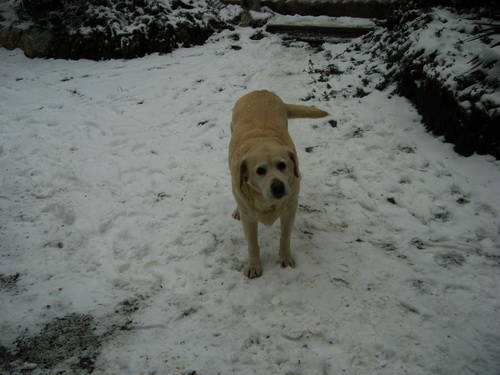 neve angera dicembre 2009
