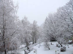 neve, foto dei lettori 2009