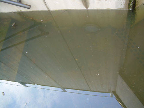 pista ciclabile cazzago brabbia allagata