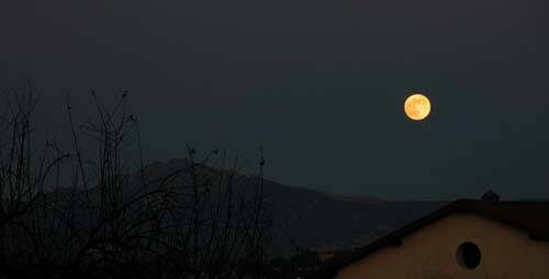 concorso luna