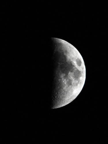 concorso luna