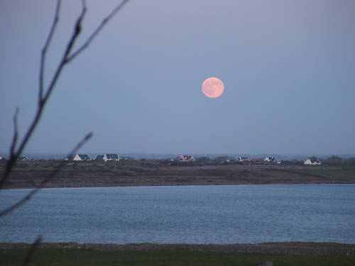 concorso luna