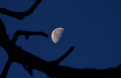 concorso-luna2