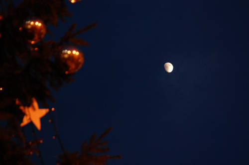 concorso-luna2