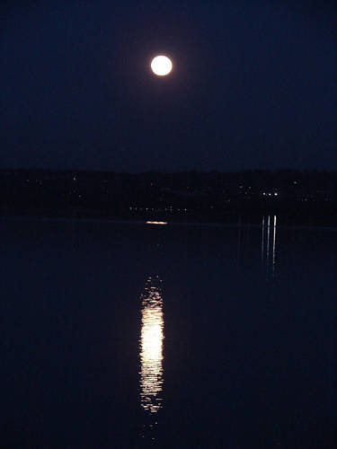 concorso-luna2