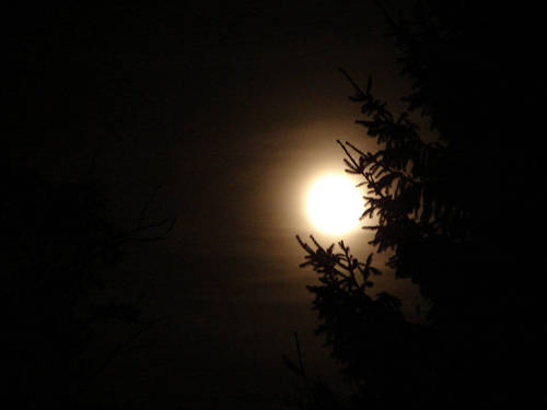 concorso-luna3