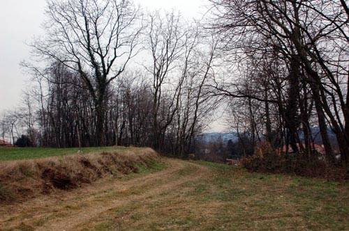 incidente malgesso morto pianta caduta